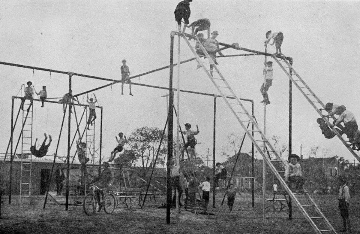 The Jungle Gym the-jungle-gym